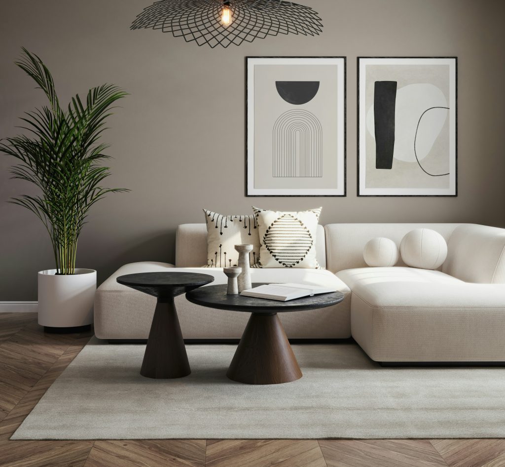 inexpensive minimalist living room